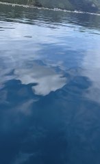 12月も元気に営業してます