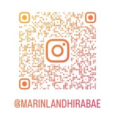 インスタグラム新設しました