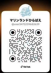 いまさらですが始めました🌊