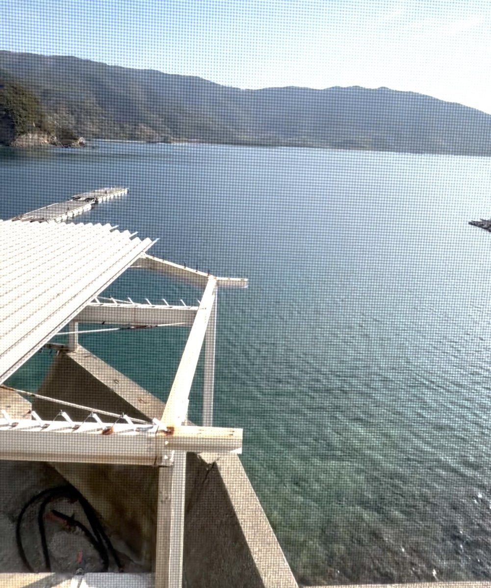 画像4: 宿泊（素泊まり）４泊５日以上の場合はお問い合わせください (4)