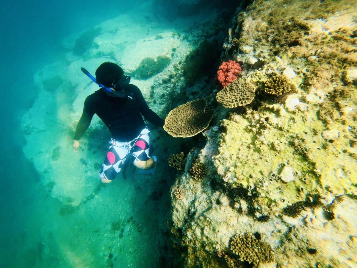 画像6: 満喫マリンレジャー (6)