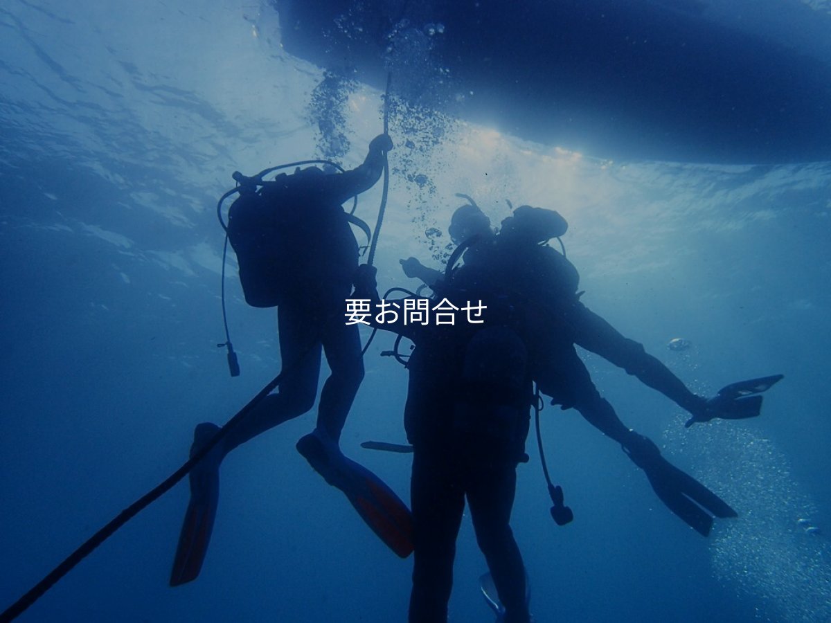 画像2: ダイビング (2)