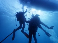 画像2: ダイビング (2)