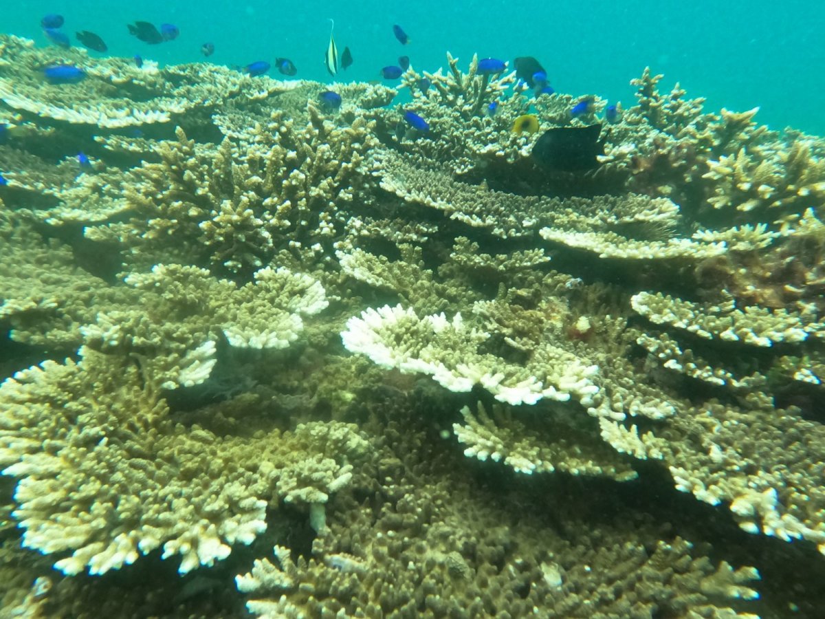 画像5: 満喫マリンレジャー (5)