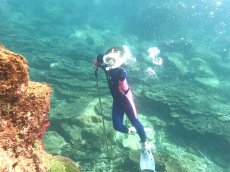 画像4: 満喫マリンレジャー (4)