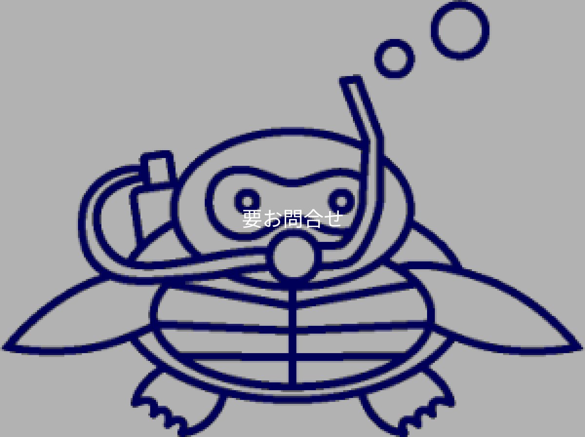 画像1: ダイビング (1)