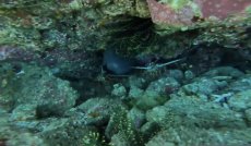 画像7: 満喫マリンレジャー (7)