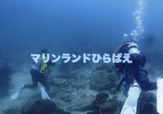 画像7: ダイビング(要予約) (7)