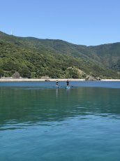 画像8: SUP　半日 (8)