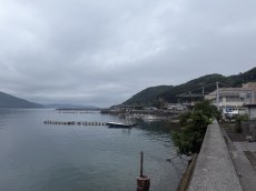 画像3: いかだ釣り (3)