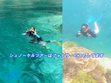 画像7: 水着だけでＯＫ　シュノーケルツアー (7)