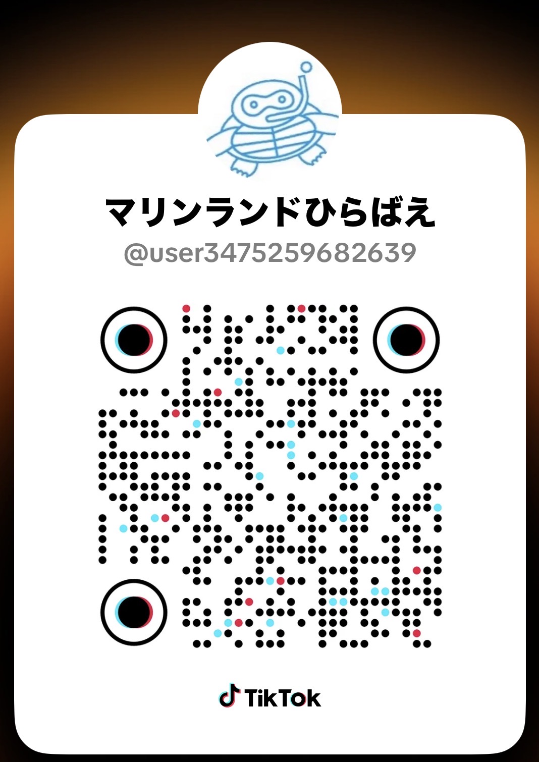 いまさらですが始めました🌊